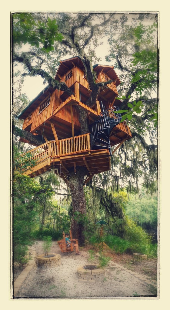 Approaching the treehouse. Sidenote: Google photos added all the picture effects when it backed up to the cloud. A little cheesy but I still like it.